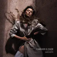 Forever Is Over