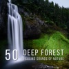 Deep Forest: 50 Healing Sounds of Nature for Zen Yoga Meditation, Mindful Solutions for Stress, Peaceful Background Music, Relaxation & Harmony