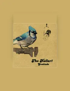 The Hollerを聴いたり、ミュージックビデオを鑑賞したり、経歴やツアー日程などを確認したりしましょう！