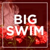Big Swim - EP artwork