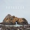 Nomad - Voyageur lyrics