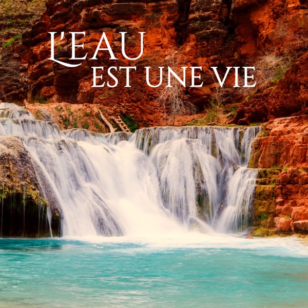 L'eau est une vie - Le son de la rivière, la pluie, les vagues et les cascades, une source parfaite d'énergie pour la méditation et le yoga
