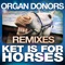 Ket Is for Horses - Organ Donors lyrics