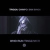 Who Run Tingz / MCR - Single