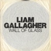 Wall of Glass - Single, 2017