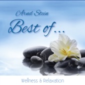 Best of Wellness & Relaxation artwork