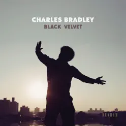 Can't Fight the Feeling - Single - Charles Bradley