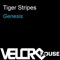 Genesis (Florian Kruse Remix) - Tiger Stripes lyrics