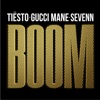 Tiësto & Sevenn - BOOM