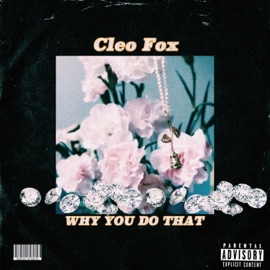 Why You Do That Cleo Fox