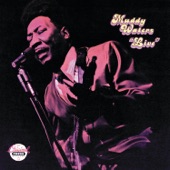 Muddy Waters: Live (At Mr. Kelly's) [Reissue] artwork