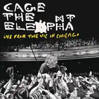 Ain't No Rest For the Wicked (Live From the Vic In Chicago)