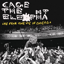 Cage The Elephant - Psycho Killer - Live