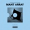 Mant Array - Sander van Doorn lyrics