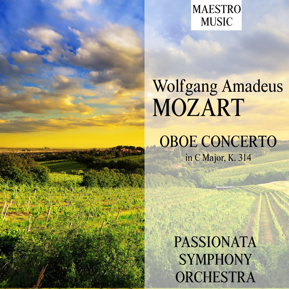 Mozart: Oboe Concerto in C Major, K. 314 - Single - Album by Passionata  Symphony Orchestra - Apple Music