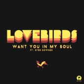 Want You In My Soul (Radio Edit) [feat. Stee Downes] artwork