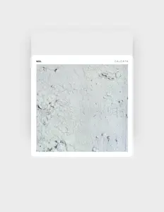 Poslechněte si interpreta Neel, sledujte hudební videa, přečtěte si životopis, podívejte se na data turné a další informace.