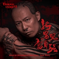 Man of Determination (feat. Tina Guo) - Single - Voodoo KungFu