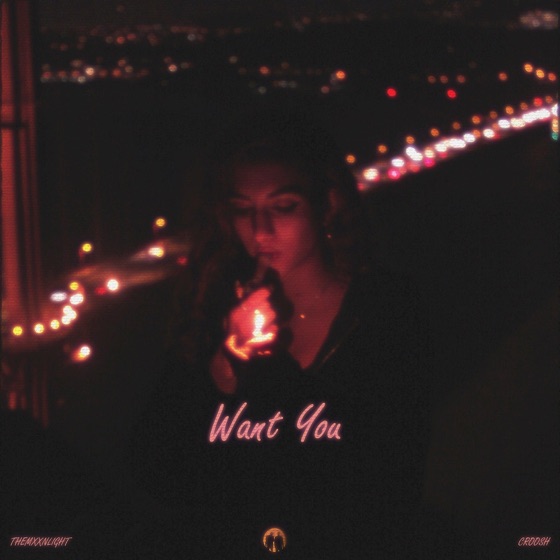 Cover artwork for Want You (feat. Croosh)