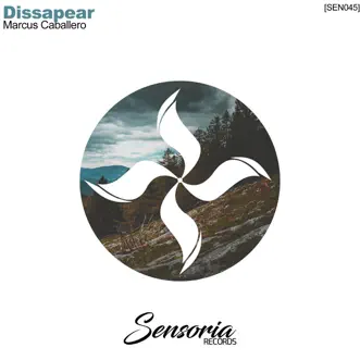 Dissapear (A. Rassevich Remix) by Marcus Caballero song reviws