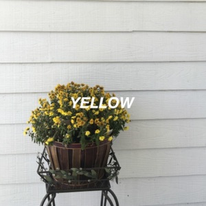 Yellow - Single