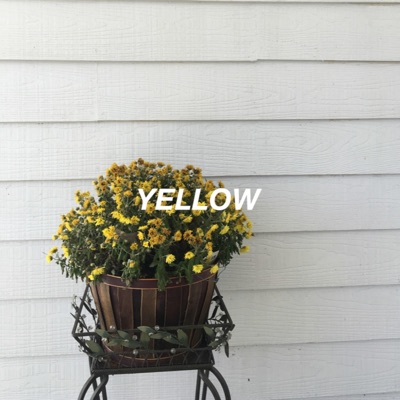 Yellow - Single