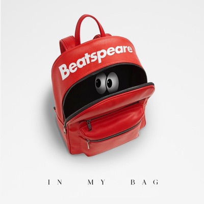 In My Bag - Single