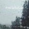 Precipitation - Steve Maggiora lyrics