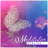 Meditative Healing: Spiritual Trance, Mind Connection, Soul Balance, Sacred Journey, Living in Harmony, Vision of Light - Healing Yoga Meditation Music Consort