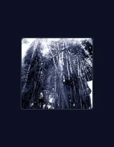 Listen to Wolf Solent, watch music videos, read bio, see tour dates & more!