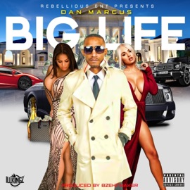 Big Life Dan Marcus