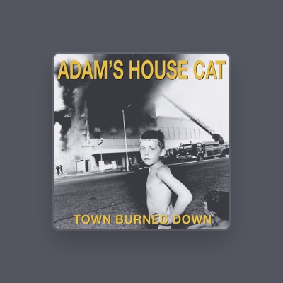 聆聽 Adam's House Cat、觀看音樂影片、閱讀小傳、查看巡演日期等！