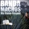 El Profesor - Banda Machos lyrics