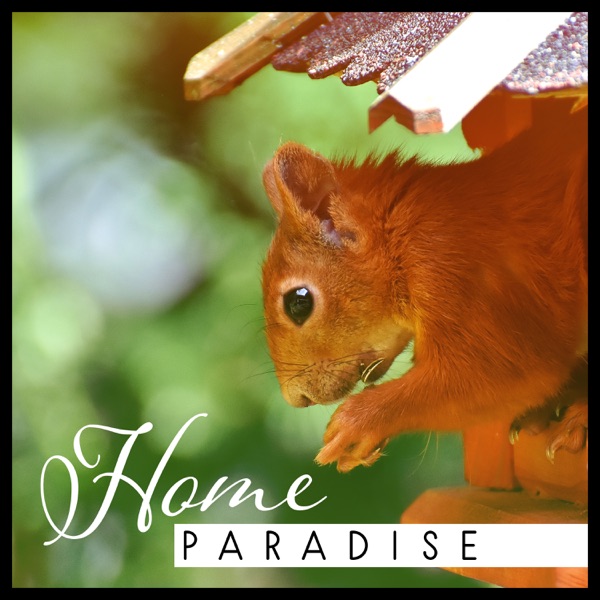 Home Paradise: Way to Rest, Beautiful Nature, Blissful Surrounding, Simple Path of Life, Emotional Symphony, Internal Silence