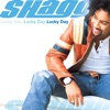 Shaggy Feat. Brian & Tony Gold - Hey Sexy Lady