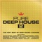 Pure Deep House 2 (Continuous Mix 3) artwork