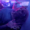 Відпускай