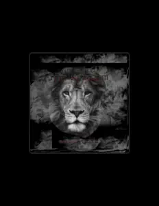 Listen to Mc Elroy, watch music videos, read bio, see tour dates & more!