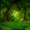 Zelda's Lullaby - Laura Sullivan