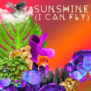 Sunshine (I Can Fly) - Single