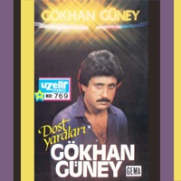 Dost Yaraları - Gökhan Güney