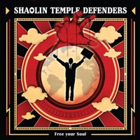 Shaolin Temple Defenders - The Reign