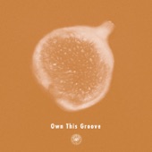 Own This Groove (feat. Liyv) artwork