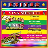 Fiesta Mexicana, Vol. 1: Cielito Lindo artwork