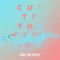 Cut To The Feeling - Carly Rae Jepsen lyrics