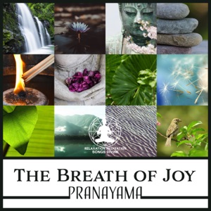 The Breath of Joy: Pranayama – Yoga Music for Deep Breathing Exercises & Relaxing Mindfulness Training, Expand Your Awareness