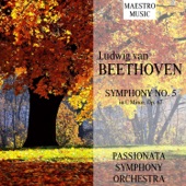 Ludwig van Beethoven: Symphony No. 5 in C Minor, Op. 67 artwork