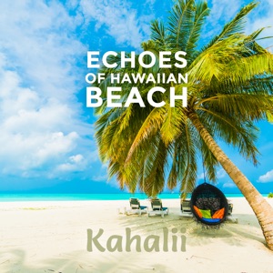 Echoes of Hawaiian Beach (Tropical Island, Exotic Relaxation, Ukulele Magic Moods)