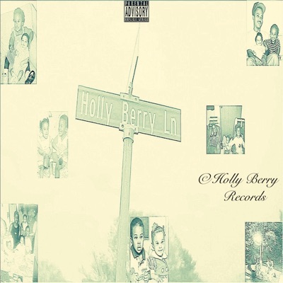 Holly Berry Ln