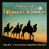 2 Horas de Villancicos Flamencos artwork